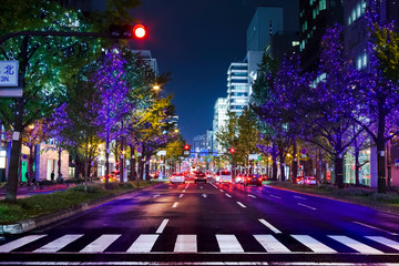 Fototapeta premium 大阪・御堂筋の夜景 