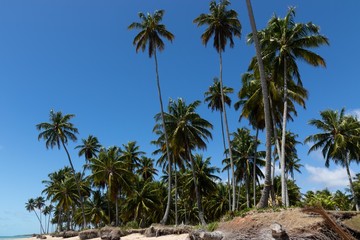 Porto de Pedras / Alagoas / Brazil. December, 1, 2019. Praia do Patacho on the north coast of the state of Alagoas, in northeastern Brazil. The place is known for its vast coconut groves, strips of wh