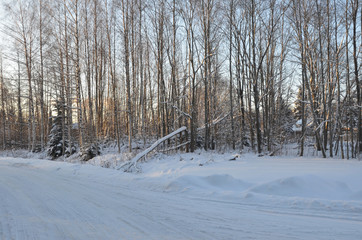 Winter time in Tampere forest with nobody around. Tampere is a city in Pirkanmaa, southern Finland. It is the most populous inland city in the Nordic countries.