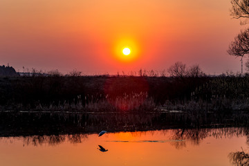 Fototapeta premium Flame-colored sunset over water, halo in the form of an arc