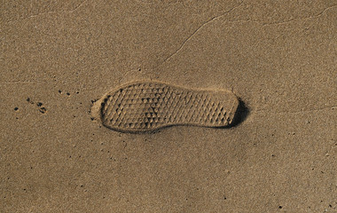 A shoe print of a light sports shoe in wet sand.