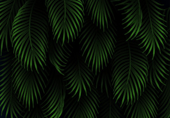 Naklejki  Liście i gałęzie palm. Tropikalny liść tło. Realistyczna palma oddziału. Zielone liście, wzór liści tropikalnych. ilustracja wektorowa