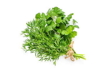 コリアンダー　細葉パクチー　画像