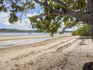 Praia Monte Cristo