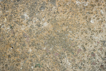 unfinished cement/concrete floor texture