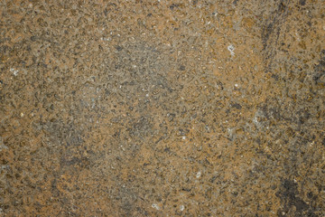 unfinished cement/concrete floor texture