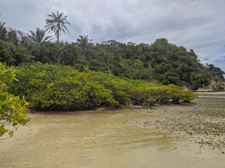 Mangue - Monte Cristo 