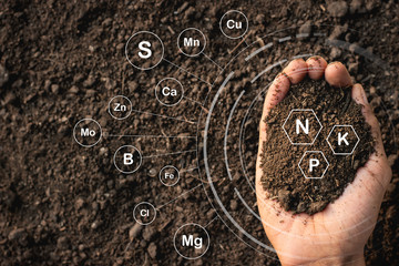 Loamy soil that is rich in man's hands and has iconic technology about soil nutrients that are essential to cultivation. - obrazy, fototapety, plakaty