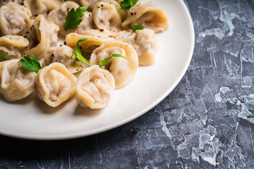 Pelmeni Russian national kitchen. Boiled dumplings with beef. Selective focus. Shallow depth of field.