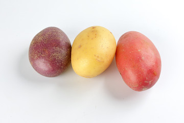 red purple yellow multi tri color small baby potato on white background