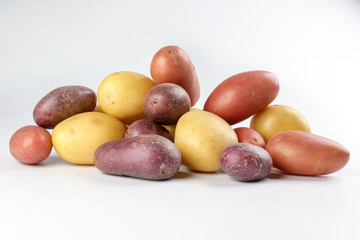red purple yellow multi tri color small baby potato on white background