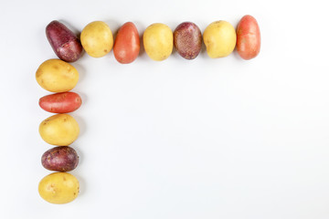 red purple yellow multi tri color small baby potato on white background frame border copy text space