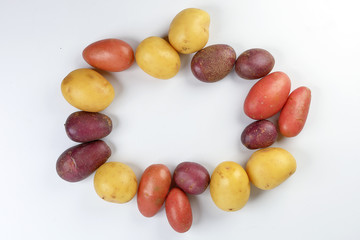 red purple yellow multi tri color small baby potato on white background frame border copy text space