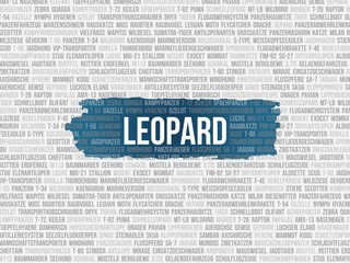 Leopard