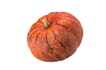 orange pumpkin beautifully lies on a white isolated background