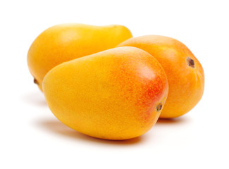 Mango on a white background