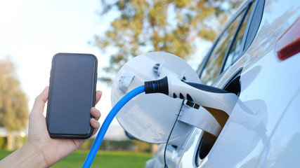 Electric car or ev is charging at station . man use white power cable and plug on nature...
