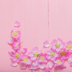 frame of pink roses on pink wooden background