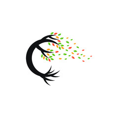 Fototapeta premium tree color root vector logo design