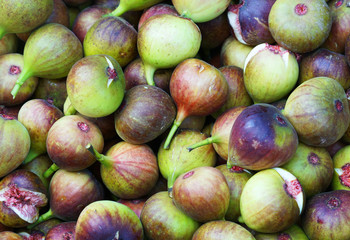 Fresh picked fig fruit background