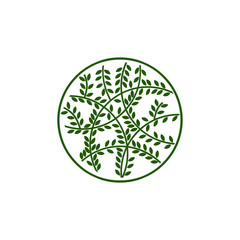 round floral element vector logo design