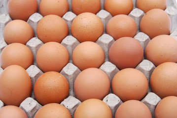 top view of chicken eggs in the container