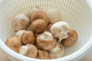 マッシュルーム