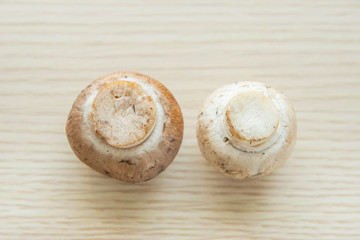 ブラウンマッシュルームとホワイトマッシュルーム