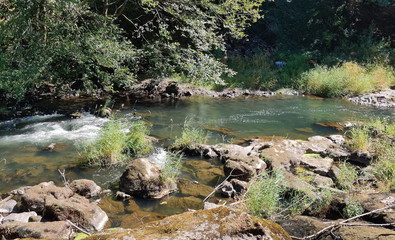 The Creek at Tumwater Falls with trees and bushes reflecting in the water during summertime in...