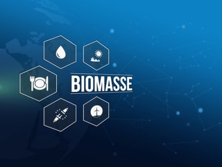 Biomasse