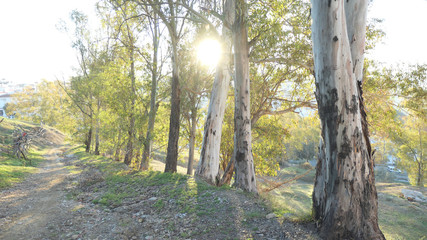 Obraz premium Rural view of fields and meadows in Andalusia