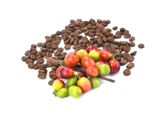 coffee beans and red ripe coffee Isolated on white background.
