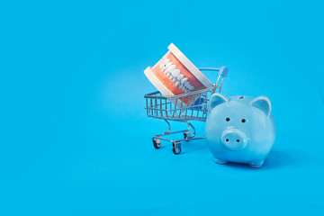 Piggy bank with White teeth model on blue background. tax offset concept. Medical Expense...
