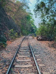 Fototapeta premium Railway in the forest nature landscape backgrounds