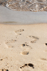 footprints in the sand by the sea