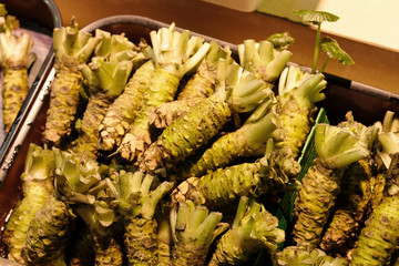 Wasabi or Japanese horseradish is a plant of the family Brassicaceae, which also includes...