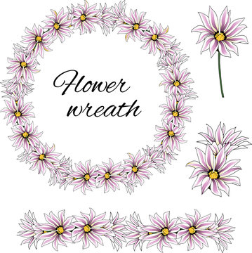Spring pink flowers, set of african daisy wreath. Realistic vector illustration cut to white.