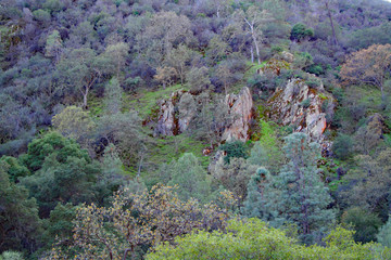 Pinnacles National Park (CA 02832)