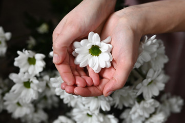 Healthy skin concept. Natural cosmetic. White flower in female hands.