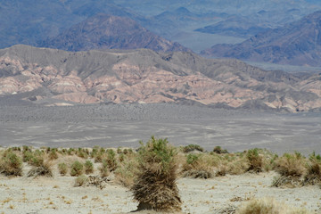 Devils Cornfield (CA 04061)