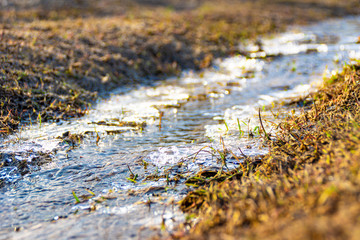 frozen spring creek partially covered with ice