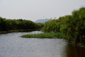 Lake Victoria, Uganda