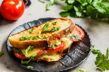 Grilled cheese sandwich with tomato and greens, dark background.