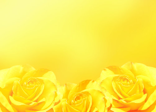 Banner with three yellow roses