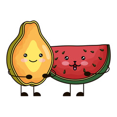 fresh watermelon and papaya kawaii characters