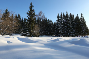 Fototapeta na wymiar winter landscape with snow and trees in Siberia