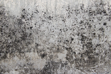 Abstract,Texture of old concrete wall,Grey Cement textured abstract background,old wall with lichen,Dirty white wall background close up moss texture on cement wall