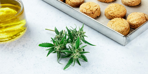 Cannabis butter cookies panorama. with hemp buds and cannaoil, infused olive oil, homemade healthy biscuits in a baking tray