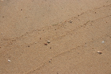Fototapeta na wymiar Patterns Texture of sand on the beach, Background, Phuket Thailand