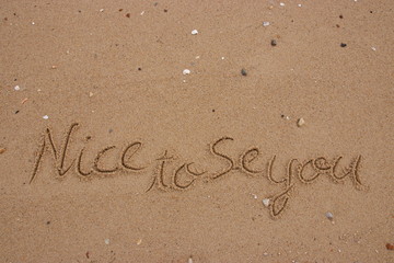 inscription on the sand, Handwriting  words 